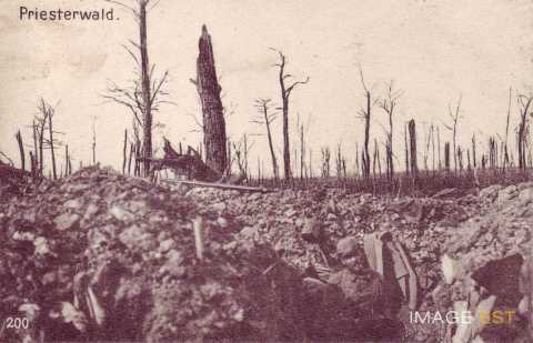 Secteur du Bois-le-Prêtre (Montauville)