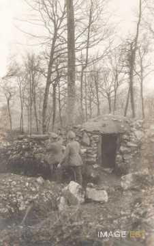 Tranchée  allemande au Bois-le-Prêtre (Montauville)