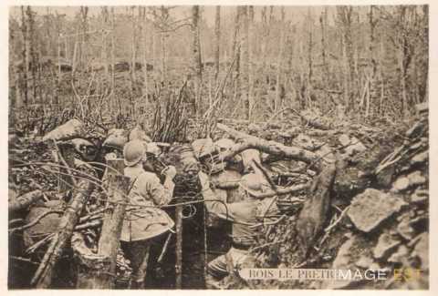 Tranchée  au Bois-le-Prêtre (Montauville)