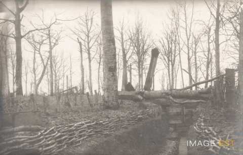 Tranchée  au Bois-le-Prêtre (Montauville)