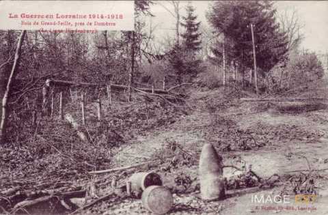 Obus en Forêt (Verdenal)