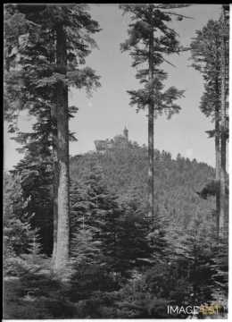 Rocher de Dabo (Moselle)