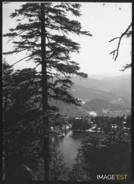 Lac Mummelsee (Schönmünzach)