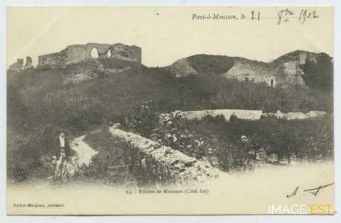 Ruines du château (Mousson)