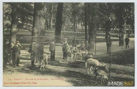 Parc zoologique de la Pépinière (Nancy)