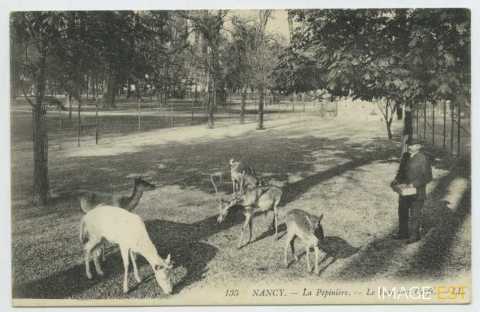 Parc zoologique de la Pépinière (Nancy)