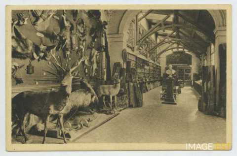 École nationale des Eaux et Forêts (Nancy)
