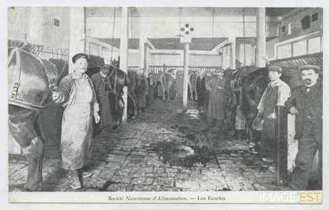 Société Nancéienne d'Alimentation (Nancy)