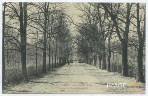 Parc Sainte-Marie entrée côté rue Jeanne-d'Arc (Nancy)