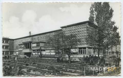 Musée de zoologie (Nancy)