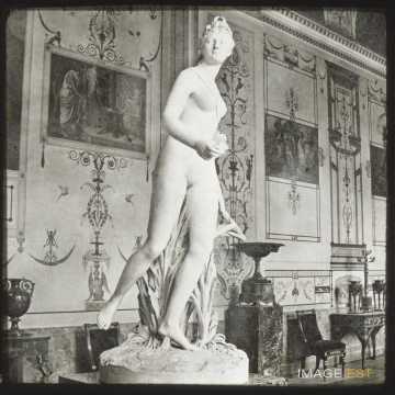 Musée de l'Ermitage (Saint-Pétersbourg)