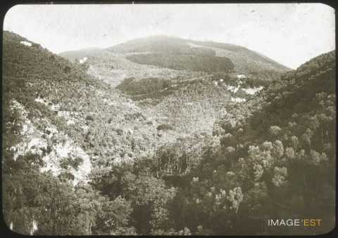 Paysage vallonné (Torrente)