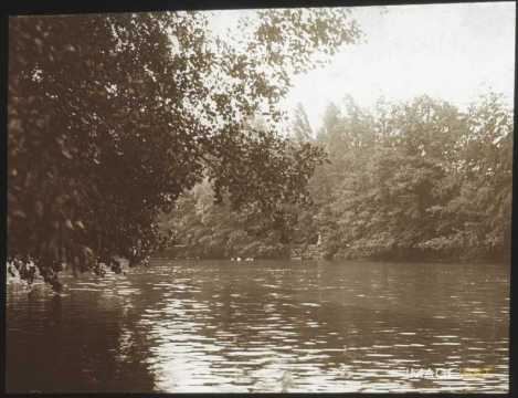 Grand lac (Bad Nauheim)