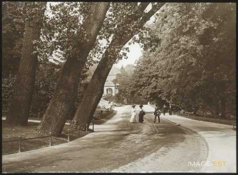 Parc du Casino (Bad Nauheim)