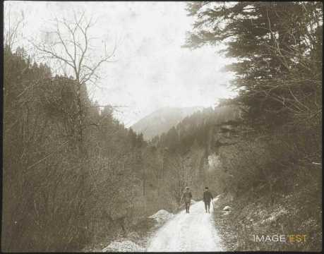 Sur un chemin de forêt (Doubs)