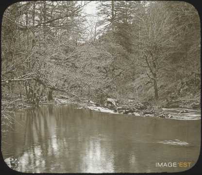 Cours d'eau en forêt (Doubs)