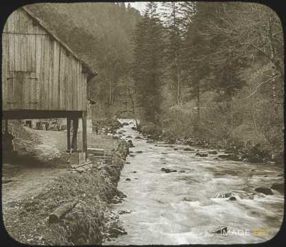 Cours d'eau en forêt (Doubs)