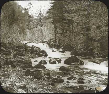 Cours d'eau en forêt (Doubs)