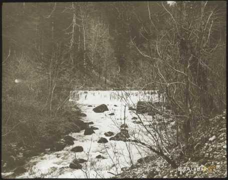 Cours d'eau en forêt (Doubs)