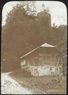Ruines Weissenau (Unterseen)