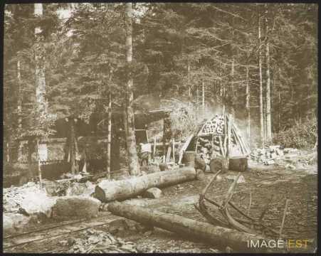 Hutte de sabotiers (La Bresse)