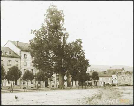 Tilleul (Gérardmer)