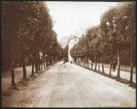 Allée arborée (Gérardmer)