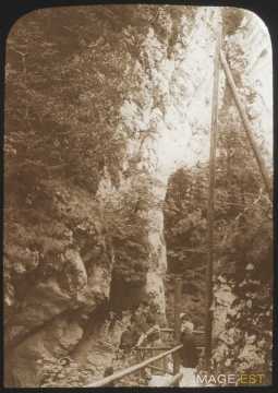 Gorges de Covatannaz (Vuiteboeuf)