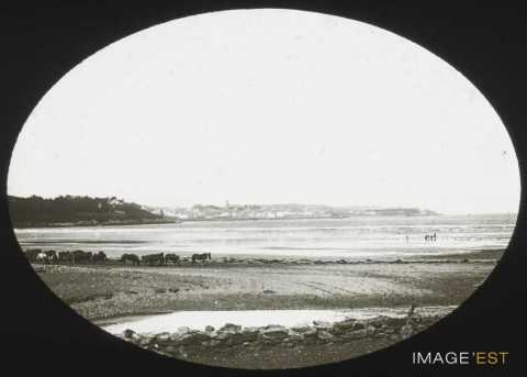 Baie (Douarnenez)