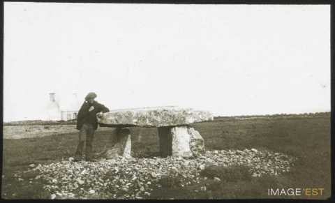 Dolmen de Rostudel (Crozon)
