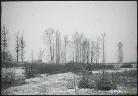 Plaine enneigée  (Blainville-sur-l'Eau)