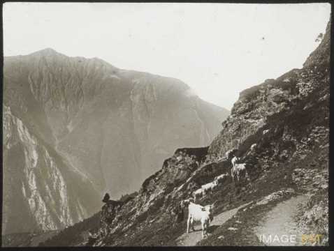 Col du Riou (Cauterets)