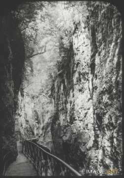 Gorges du Fier (Lovagny)