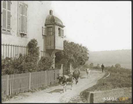 Château (Eulmont)