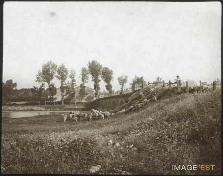 Berger et son troupeau (Gondreville)