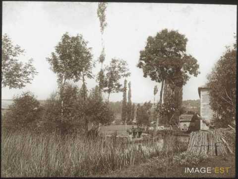 Ruisseau d'Esch (Villers-en-Haye)