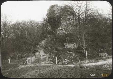 Ruines de château (Frouard)