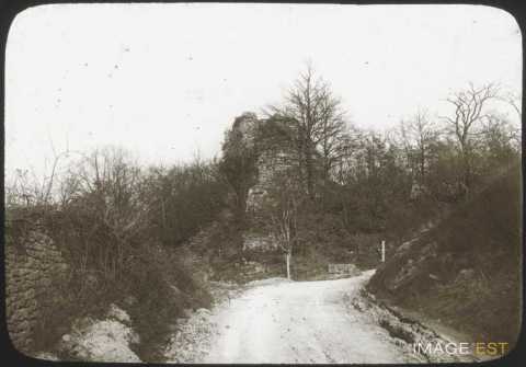 Ruines de château (Frouard)