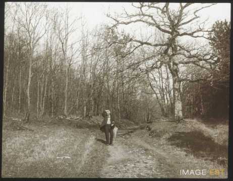 Au val de Bellefontaine (Champigneulles)