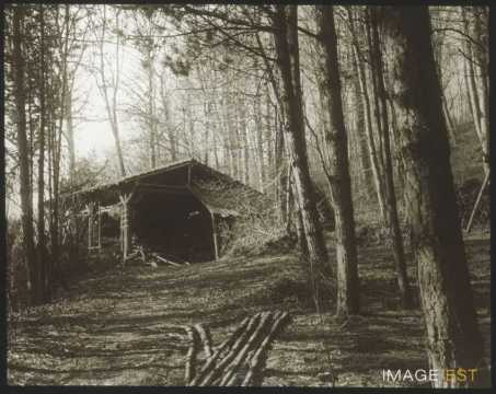 Construction forestière (Champigneulles)