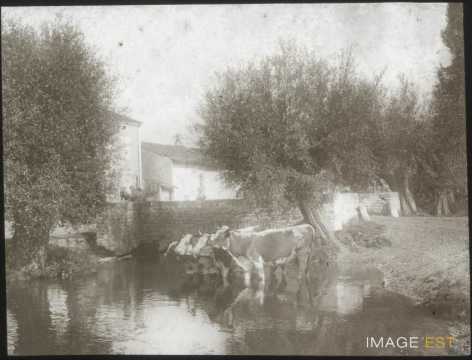 Abreuvoir (Bainville-sur-Madon)