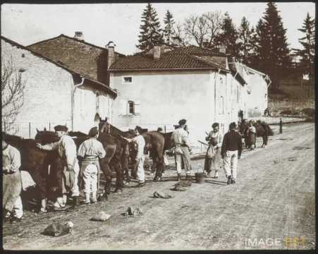 Pansage de chevaux (Ville-sur-Illon)