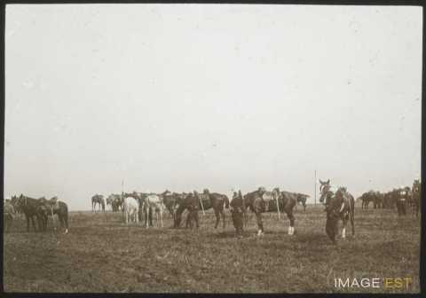 Manoeuvre de la cavalerie (Malzéville)