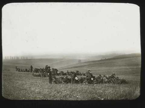 Compagnie d'infanterie (Haroué)