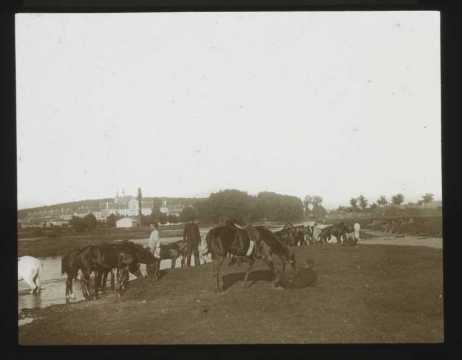 Chevaux et militaires (Art-sur-Meurthe)