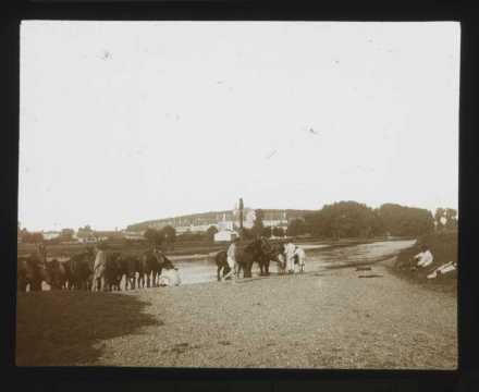 Chevaux et militaires (Art-sur-Meurthe)
