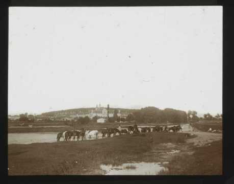 Chevaux et militaires (Art-sur-Meurthe)