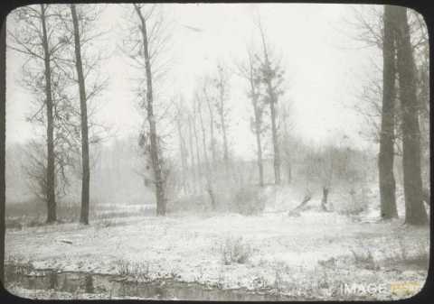 Paysage enneigé (Blainville-sur-l'Eau)