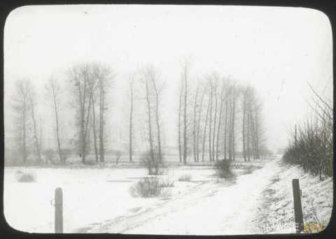 Paysage enneigé (Blainville-sur-l'Eau)