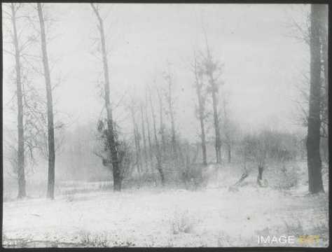 Paysage enneigé (Blainville-sur-l'Eau)